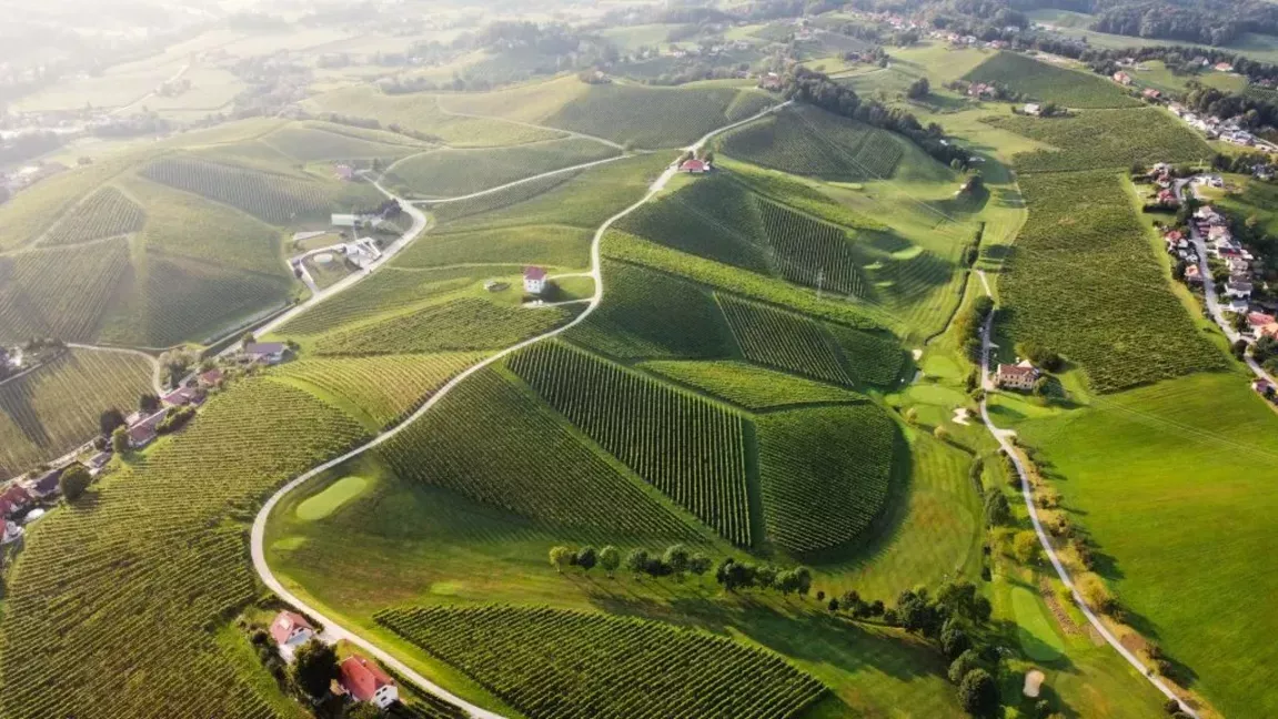 Regions of Slovenia and Their Culinary Signatures