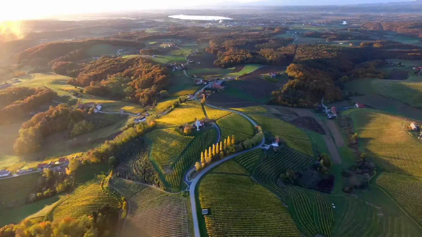 Stajerska wine region landscape