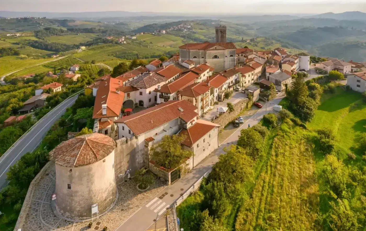 Wine Routes: Journey Through Slovenia's Vineyards